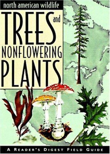 Trees and nonflowering - trees,