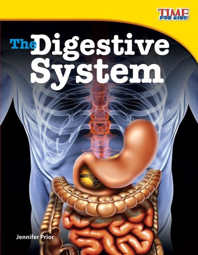 The digestive system jennifer - the, system,