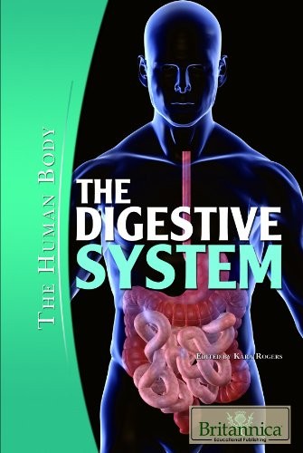 The digestive system - the,